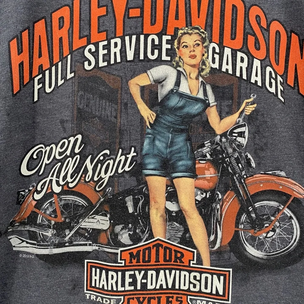 Harley-Davidson Gray Graphic T-Shirt